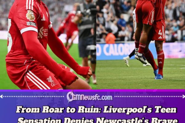 Newcastle United 2-3 Liverpool: When Dreams Meet Reality at St. James' Park