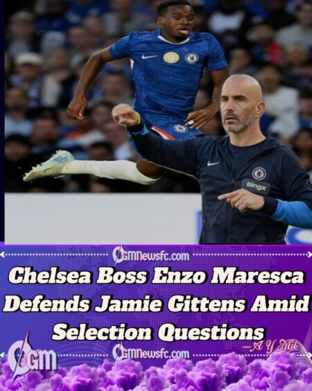 Chelsea Await £55m Jamie Gittens Breakthrough as Enzo Maresca Faces Brighton Dilemma