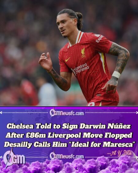 Chelsea Urged to Sign ‘Perfect’ £86m Liverpool Flop to Complete Maresca’s Dream Squad