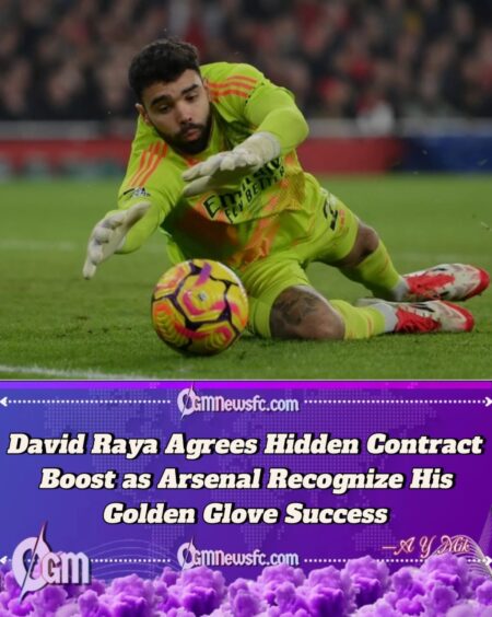 David Raya Signs Secret Improved Deal with Arsenal After Back-to-Back Golden Glove Wins
