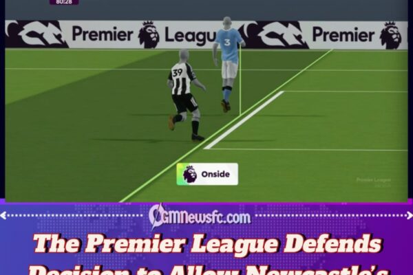 The Premier League Explains Why Newcastle’s Winner Was Allowed to Stand