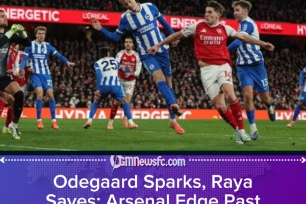 Raya the Saviour as Arsenal Survive Brighton Scare to Return to Premier League Summit