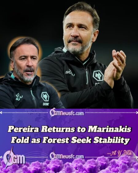 Vítor Pereira Arrives at the City Ground: Forest Turn to Familiar Firefighter on 18-Month Deal