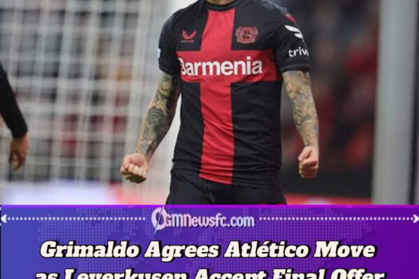 Grimaldo Arrives After Atlético's Shopping List Lost Its First Page