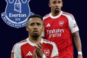 Valuation: Everton Love The Player But Not The Price As Gabriel Jesus Enters Transfer Spotlight