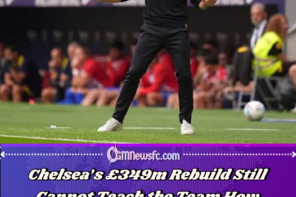 Alonso Warns Chelsea Must Stop Conceding Easily After 2-2 Hull Draw